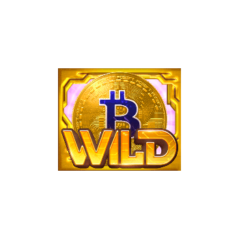 wild crypto